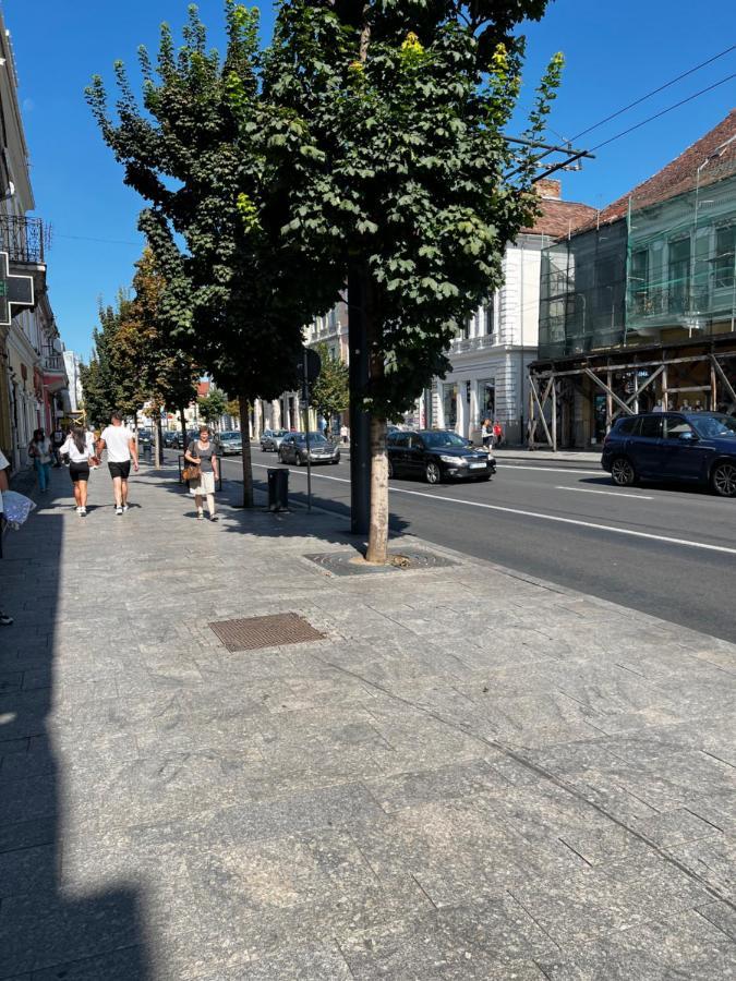 Ndl Downtown Cluj Aparthotel Kültér fotó